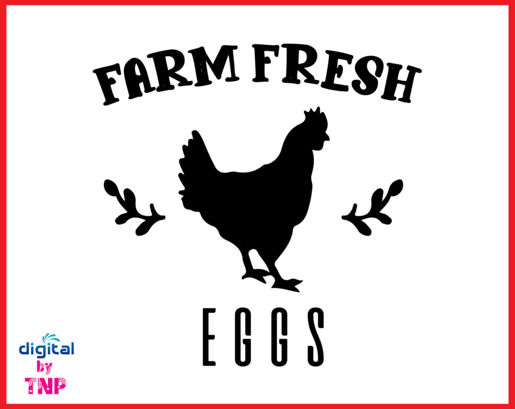 Farm fresh eggs Svg, Farm Designs Svg, Farmhouse Svg,Silhouette Cameo ...